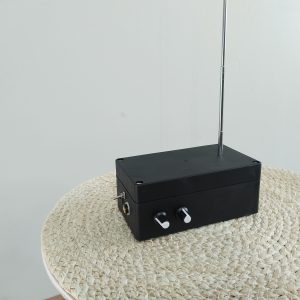 JP2Theremin