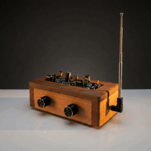 Kit Theremin y Taller presencial 25 Enero